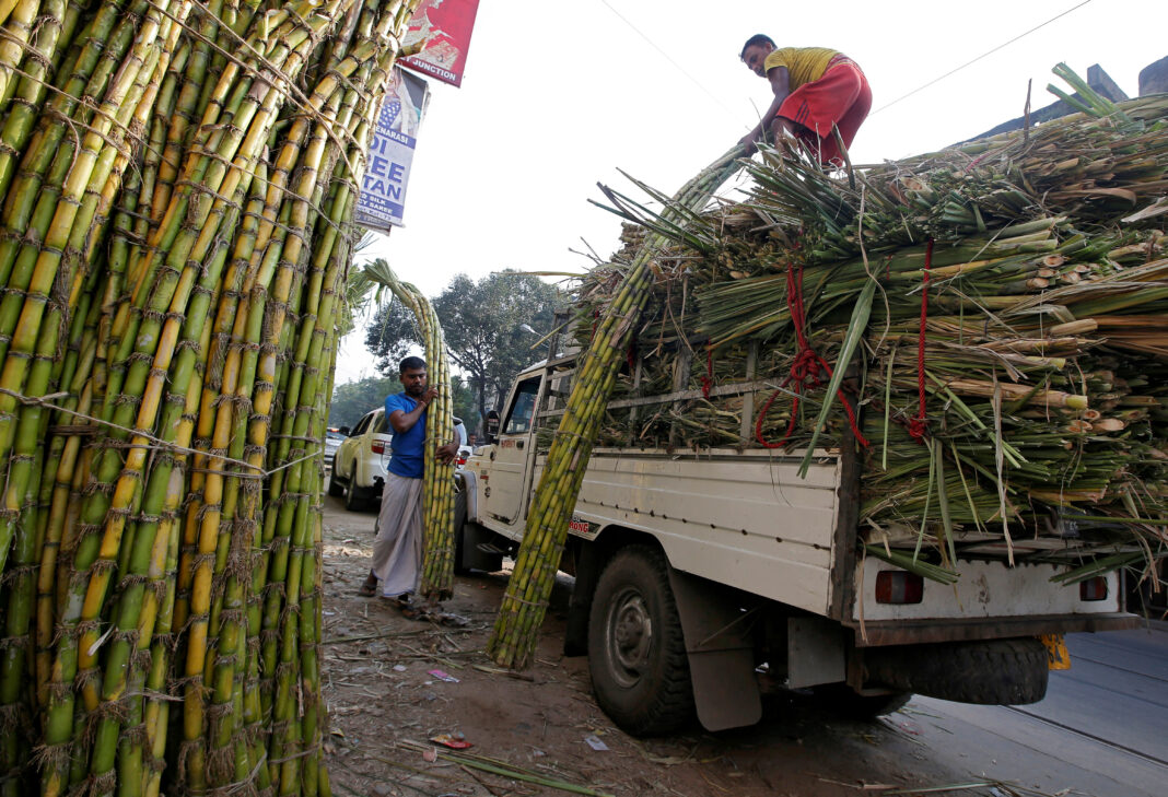 Foto de archivo de vendedores cargando caña de azúcar en un vehículo en un mercado mayprista en India. Oct 9, 2018. REUTERS/Rupak De Chowdhuri