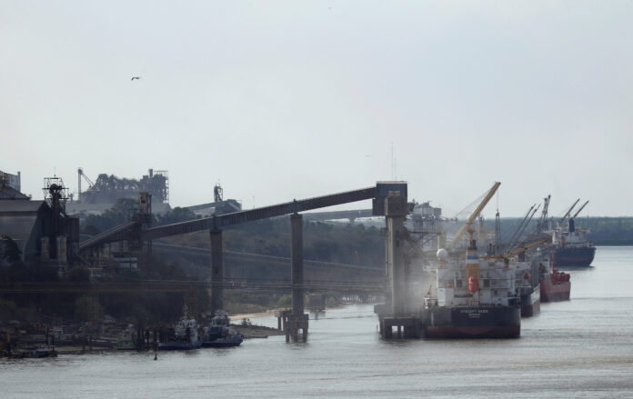 Granos son cargados en barcos en un puerto sobre el río Paraná, cerca de Rosario, Argentina, el 28 de agosto de 2020. REUTERS/Agustin Marcarian. Foto de archivo.