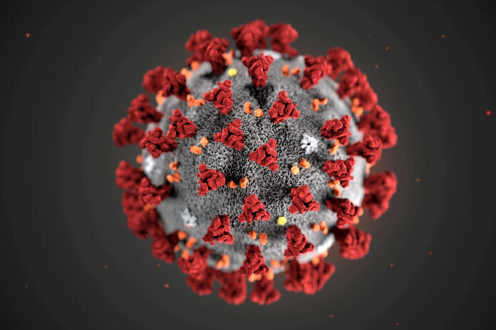 FILE PHOTO: The ultrastructural morphology exhibited by the 2019 Novel Coronavirus (2019-nCoV), which was identified as the cause of an outbreak of respiratory illness first detected in Wuhan, China, is seen in an illustration released by the Centers for Disease Control and Prevention (CDC) in Atlanta, Georgia, U.S. January 29, 2020. Alissa Eckert, MS; Dan Higgins, MAM/CDC/Handout via REUTERS.