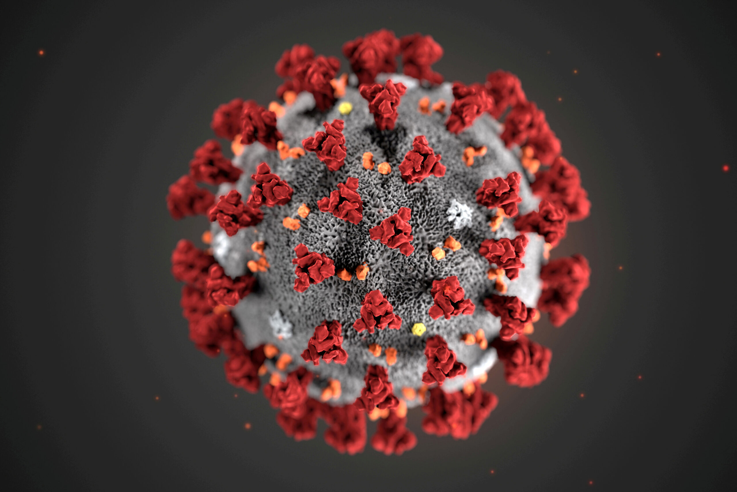 FILE PHOTO: The ultrastructural morphology exhibited by the 2019 Novel Coronavirus (2019-nCoV), which was identified as the cause of an outbreak of respiratory illness first detected in Wuhan, China, is seen in an illustration released by the Centers for Disease Control and Prevention (CDC) in Atlanta, Georgia, U.S. January 29, 2020. Alissa Eckert, MS; Dan Higgins, MAM/CDC/Handout via REUTERS.